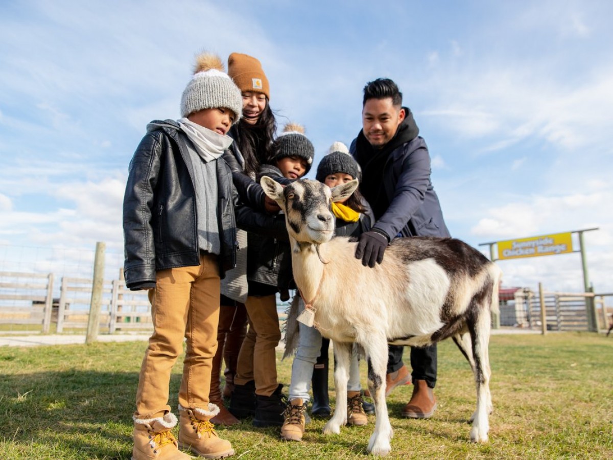 Four spots for fam jam farm fun this autumn in Winnipeg - Even the goats are all smiles at Deer Meadow Farms (photo by Mike Peters) 