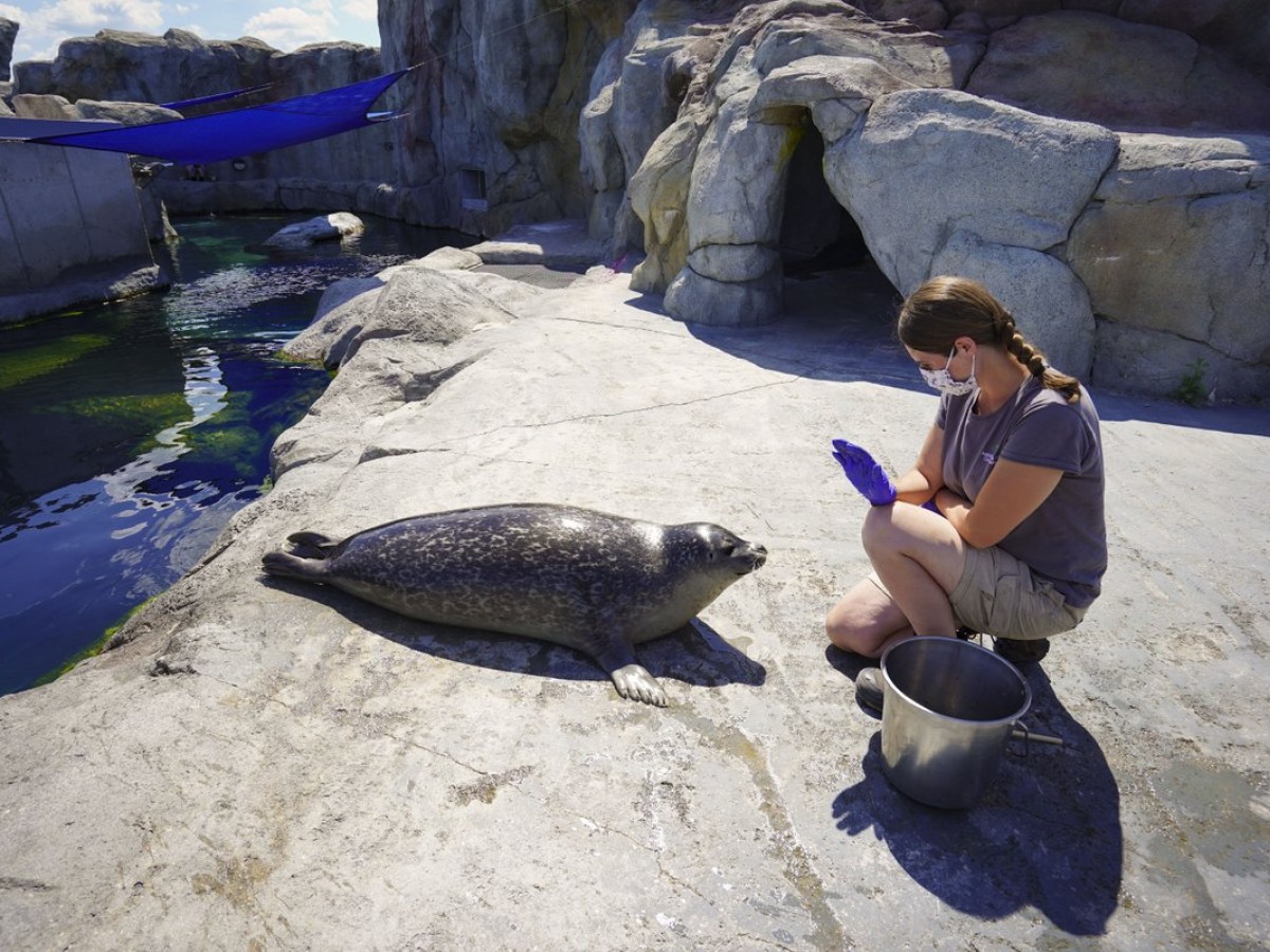 Assiniboine Park Zoo is bringing back your favourites this summer - Behind-the-scenes experiences like this are returning to the Zoo this summer (Maddy Reico)