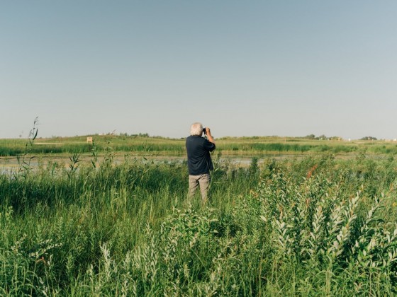 ​Flock to these Winnipeg spots for the best in birding 